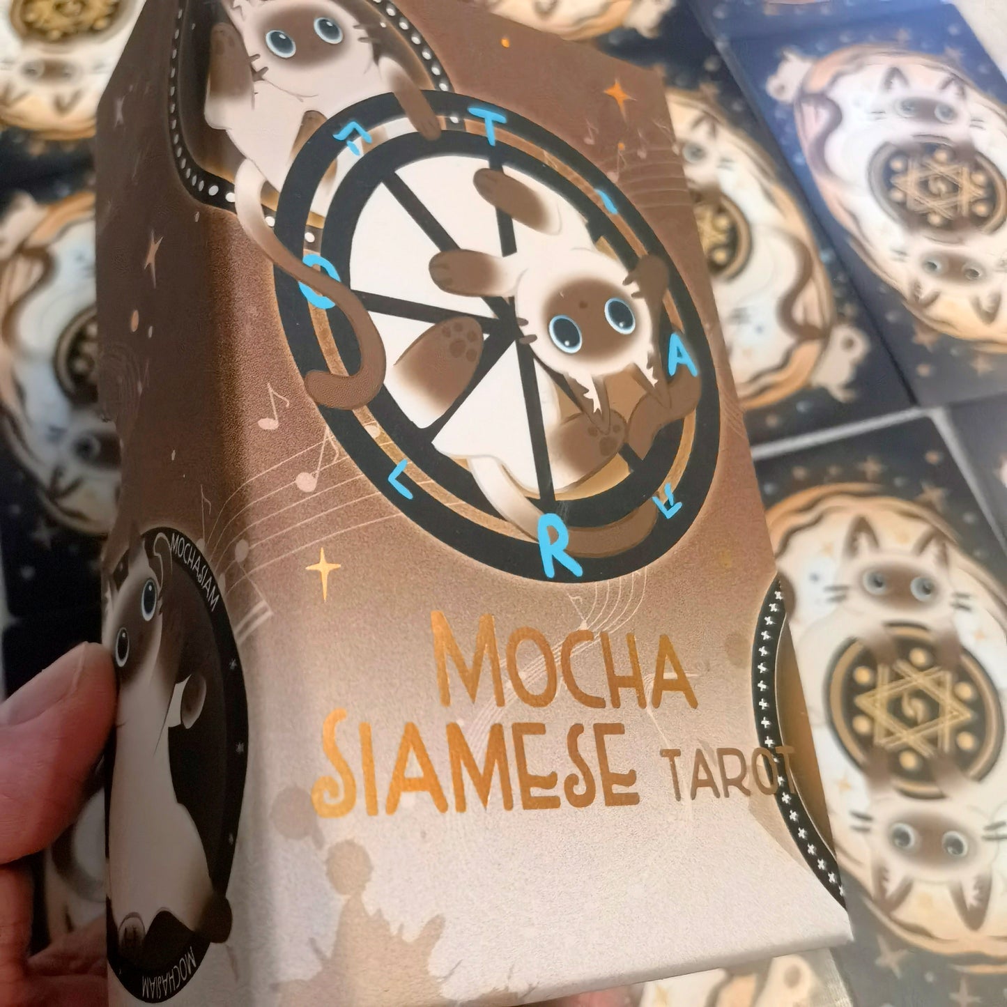 Mocha Siamese Cat Tarot