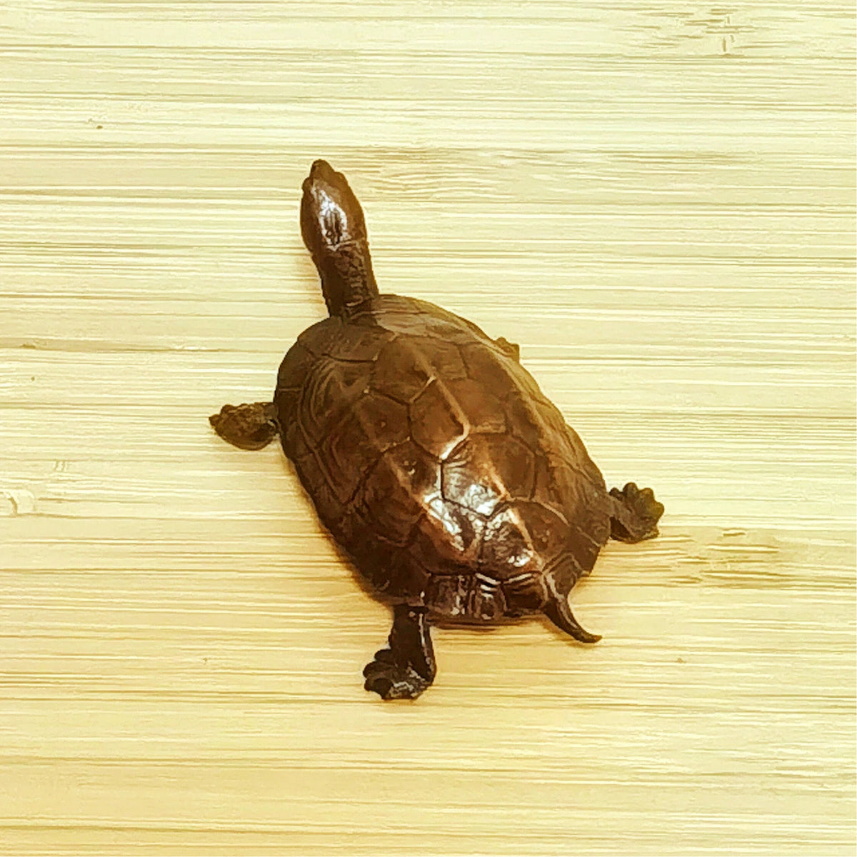 Ancient Guardian Bronze Turtle – Symbol of Longevity, Wisdom, Protection & Grounding