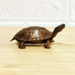 Ancient Guardian Bronze Turtle – Symbol of Longevity, Wisdom, Protection & Grounding