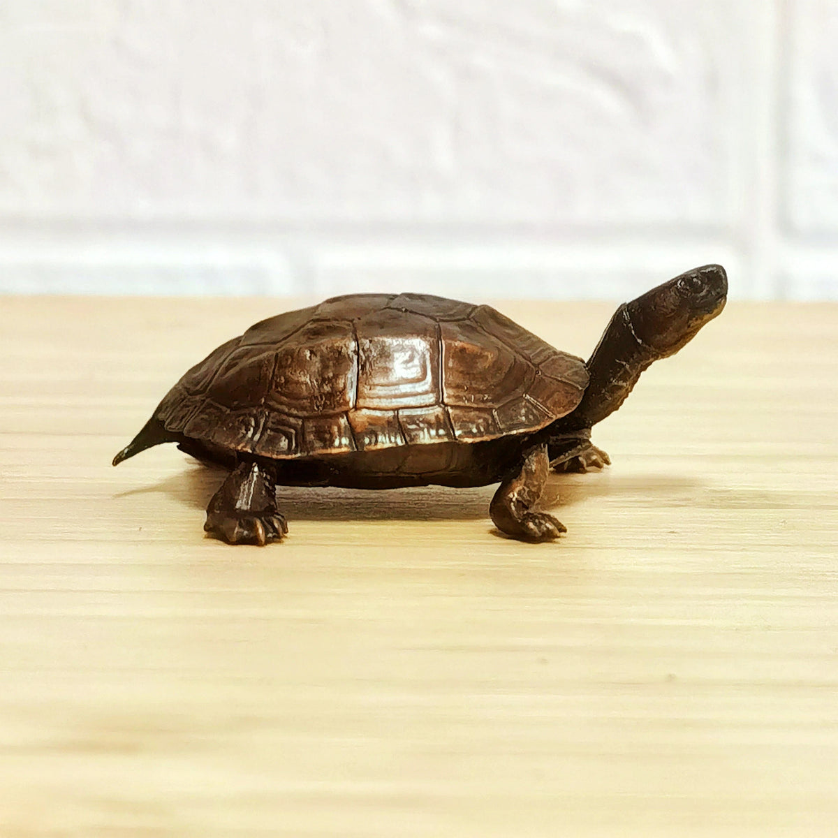 Ancient Guardian Bronze Turtle – Symbol of Longevity, Wisdom, Protection & Grounding